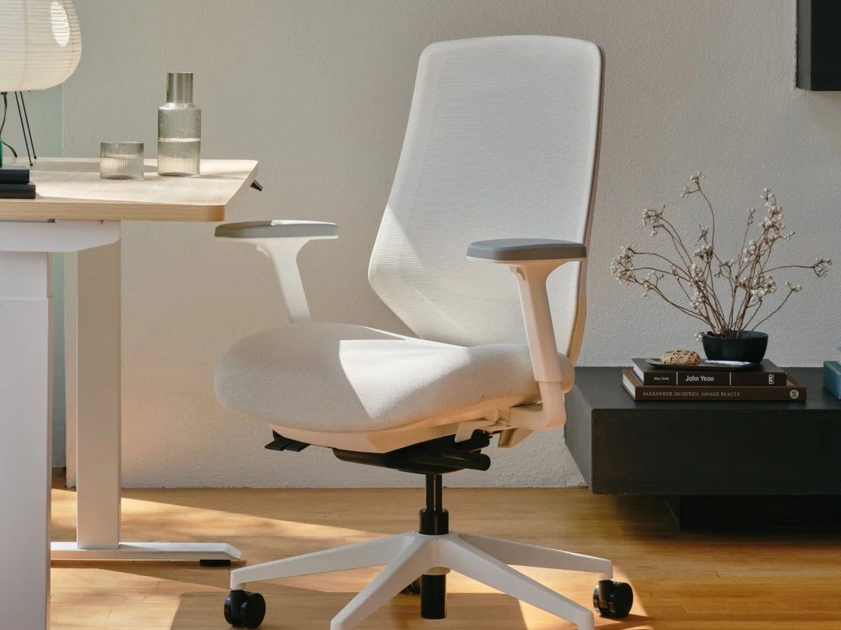 Branch Ergonomic Chair Pro